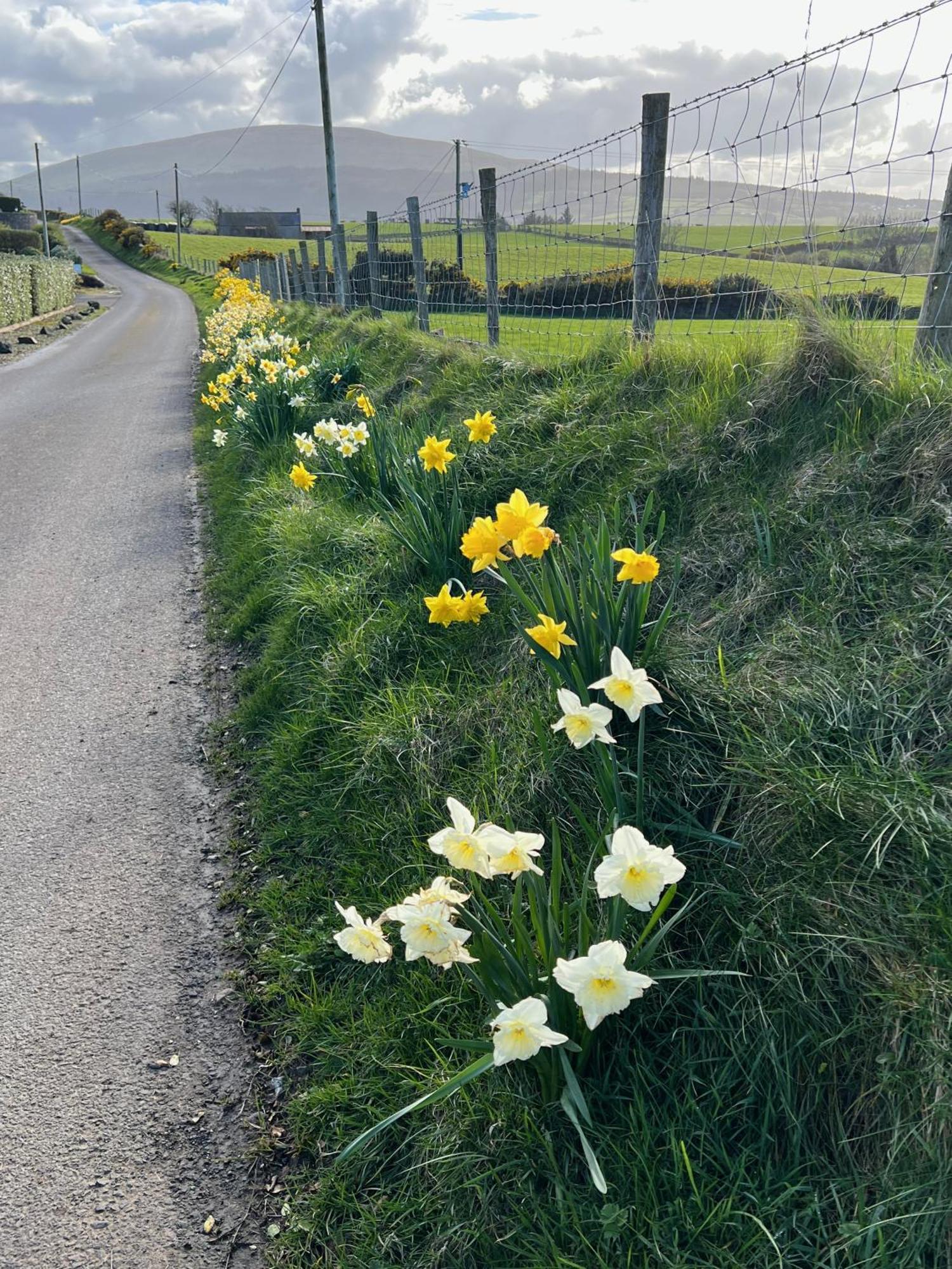 Tornaroan Cottage Ballycastle Exteriör bild
